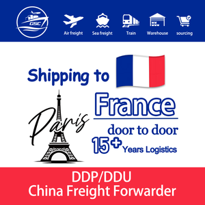 Transporte Marítimo de China a Francia, Italia, Suecia, España, Alemania, Reino Unido, Europa, Canadá, Australia, DDP, DDU, CIF, Agente de Carga, Logística - Product Image 1