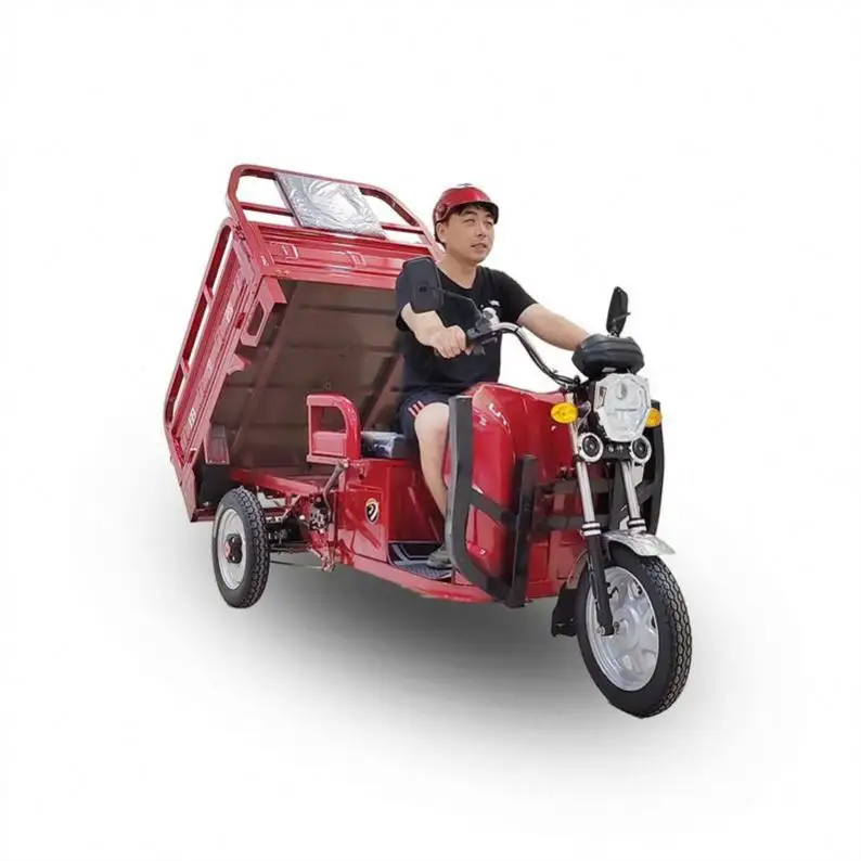 Factory Price 36V Motor Tricycle 250Cc Passenger Trike For The Public