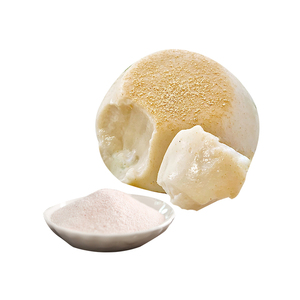 Poudre instantanée pour boisson, saveur pudding aux œufs, poudre de gelée de qualité alimentaire pour thé au lait et bubble tea, ingrédients pour les salons de thé. - Product Image 6