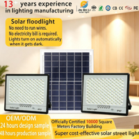 Projecteur solaire LED étanche IP67 à zéro consommation pour jardin, lumière du jour 6000K, angle de faisceau 180°, CE