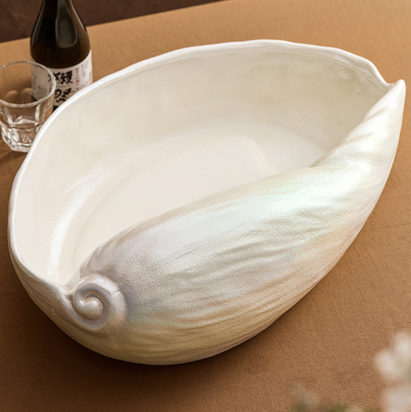 Piastra da 19 pollici