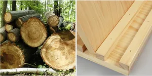 Coffrets cadeaux souvenirs en bois de pin massif haute brillance de luxe Boîte de rangement en bois