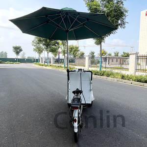 Chariots de crème glacée de vélo électrique chariot de boisson de voyage chariot poussoir de réfrigérateur <span class=keywords><strong>à</strong></span> vendre - Product Image 5