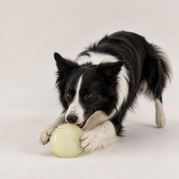 Balle pour chien souple qui brille dans le noir, rebondissante, résistante aux morsures, en TPR, jouet pour apporter la balle, 3 tailles pour toutes les races de chiens