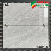 Carreaux Muraux Brillants Salle de Bain Cuisine 300x600, Carreaux Céramiques Gris Murs de Salle de Bain, Carreaux Muraux Intérieurs Blanc Pur