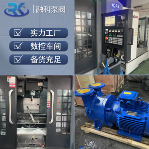 BV5121 Water Ring <b>Vacuum</b> <b>Pump</b> Electric AC Powered Cast Iron Industrial Booster <b>Pump</b> - Product Image 3
