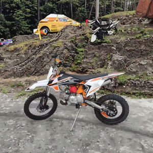 Motocicleta de Alta Calidad sin Escobillas de 125cc Harmonywin DT34 para Motocross y Carreras Todoterreno con Velocidad Máxima de 61-80km/h - Product Image 3