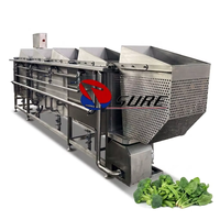 Hoog rendement automatische fruit- en groenteblancherings- en koelmachine, warmwaterblancheringsapparatuur voor voedselverwerkingsfabrieken
