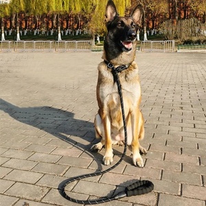 <span class=keywords><strong>Laisse</strong></span> Réfléchissante à Libération Rapide Imprimée <span class=keywords><strong>pour</strong></span> Grands Chiens, Entraînement et Promenade, <span class=keywords><strong>Laisse</strong></span> en P <span class=keywords><strong>pour</strong></span> Chiens Moyens et Grands, <span class=keywords><strong>Malinois</strong></span>, Collie - Product Image 6