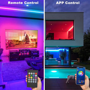 Sunled Tv Room Stage <strong>Led</strong> Light <strong>Strips</strong> 5V 12V 5Meter Smd 5050 Rgb <strong>Led</strong> Lights for Amusement Rides - Product Image 4