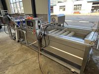 Hoge kwaliteit sinaasappel citroen aardbei fruitreinigingsapparatuur bubbelwasmachine met beste prijs