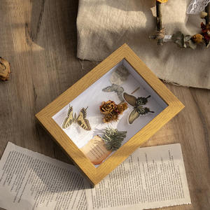 Caja de Exhibición de Madera Natural para Especímenes de Mariposas, Personalizable OEM/ODM, Marco Botánico de Marca Privada para Venta al Por Mayor - Product Image 3