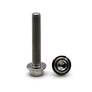 Titanium Screws High Quality Natural Color Shoulder Screws Grade 5 M8 M10 M18 Binding Flat Hex Bicycle Titanium Screw M3