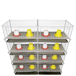 Cage d'élevage avicole moderne automatisée en H, haute capacité pour cailles et poulets de chair - Product Image 5