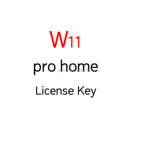 정품 윈도우 11 프로 / 홈 라이선스 키 온라인 정품 인증 OEM 키 코드 온라인/이메일 즉시 발송 - Product Image 1