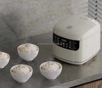 Cuisinière à riz électrique intelligente de qualité professionnelle pour la maison, 2 L, disponible à la réservation