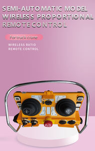 Télé<span class=keywords><strong>commande</strong></span> industrielle Dinghui, 4 joysticks, fonction automatique, construction métallique, garantie 1 an, personnalisable, 6 positions, IP68 - Product Image 6