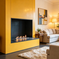 AF40 1 Stage Flame Intelligent Ethanol Fire Insert Built-In Electric Remote Control Automatic Bio Ethanol Fireplace Burner.