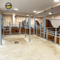 Porte battante préfabriquée de luxe à cadre métallique, équipement de box pour chevaux de haute qualité, sur mesure