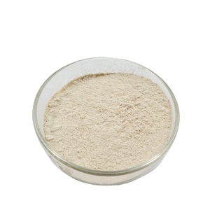 Acide hydroxycitrique pur Hca Extrait de Garcinia Cambogia Acide hydroxycitrique - Product Image 3