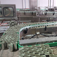 Hoge Snelheid Fruit En Plantaardig Voedsel Kan Clamshell Punnet Fles Verpakkingsmachine