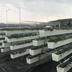Hydroponics צינור מרובע צינור לגדול חממות חקלאות ערוץ שתילה - Product Image 5