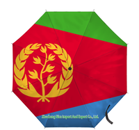 Parapluie pliant avec drapeau du Burkina Faso, ouverture et fermeture automatiques, parapluie compact, portable, grand format, pour la protection contre la pluie, résistant au vent