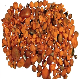Cálculos Biliares de Ganado (Tipo GUT) Certificados de Alta Calidad, Color Marrón Dorado - Product Image 1