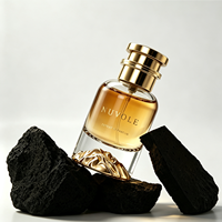 Flacons de parfum vides personnalisés transparents 30ML 100ML, flacon de parfum de luxe transparent 50ml avec fond volcanique montagneux et boîte