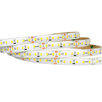 Bande lumineuse LED super longue 100m 24V et 48V étanche à courant constant 2835