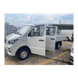 <span class=keywords><strong>Pantera</strong></span> Mini camion 2 passeggeri CNG camion 1,6l carico utile Mini camion 2 Ton - Product Image 6