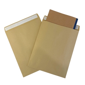 Cứng Kraft hạt giống Phong bì nhà máy OEM Dịch vụ chấp nhận giá rẻ nhất Brown carton Trắng Kraft dễ thương A4 giấy gửi thư phong bì vuông - Product Image 6