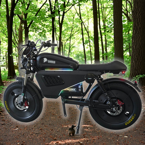 Bicicleta Eléctrica Urbana de 60V 3000W 3000Wh con Batería Integrada, Motor en la Rueda Trasera, de Aluminio, con Acelerador y Pedales, 80MPH - Product Image 3