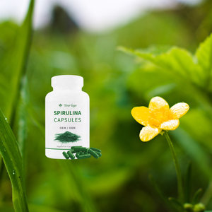 Cápsulas de espirulina OEM, suplementos sanitarios - Product Image 3