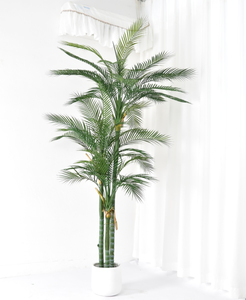 Le Faux <span class=keywords><strong>Phoenix</strong></span> Loureirii 220cm pour la décoration de la maison 3 <span class=keywords><strong>coffre</strong></span> - Product Image 2