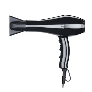 RYACA AC Motor Professional Ionic Hot and Cold Blow Dryer Hair with Concentrator