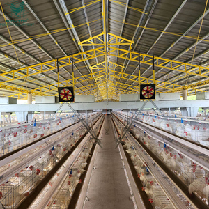 Vente chaude 3/4 Niveau a Type Batterie automatisée Cage de poule pondeuse Cage de couche de poulet pour <span class=keywords><strong>poulailler</strong></span> de ferme avicole - Product Image 2