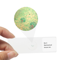 Cinq tissus végétaux de base pour la botanique - Boîte de 5 lamelles préparées pour l'enseignement avec microscope biologique