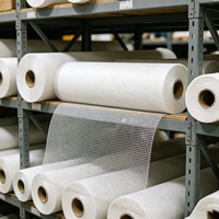 Rete in Fibra di Vetro di Grado Standard, Rete in Fibra di Vetro per Uso Generale in Edilizia, Rotolo di Rete in Fibra di Vetro, Fornitura OEM del Produttore