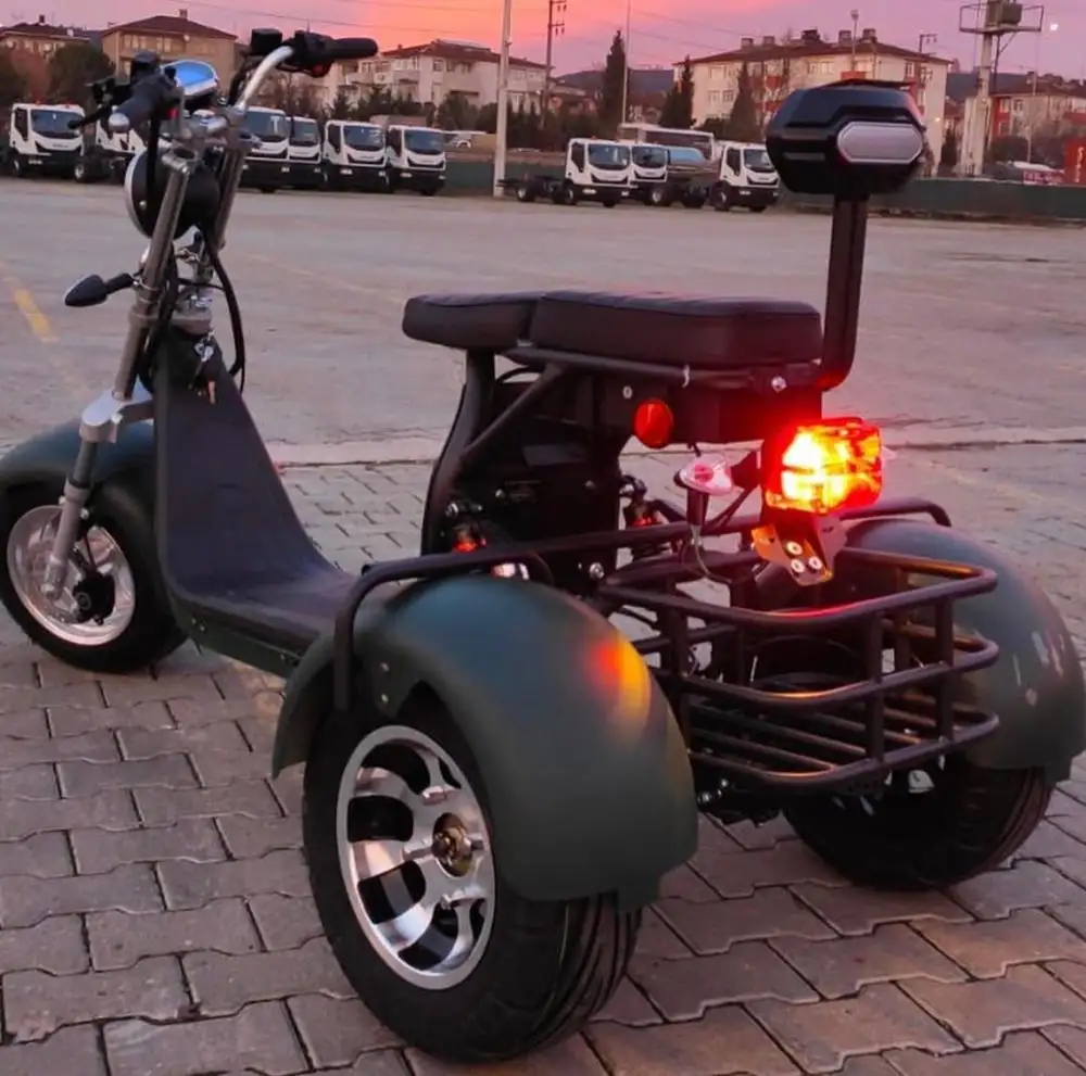 Beau nouveau modèle CP-3.0 Scooters électriques Tricycles 1000W/1500W/2000W 12AH/20AH/40AH Double siège Citycoco adultes