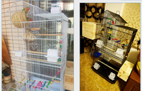 Cage à chien grande taille en métal, vente en gros usine, avec fermeture coulissante horizontale, jouet pour oiseaux offert, motif uni, écologique, style classique