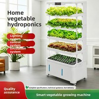 Système de culture hydroponique verticale intelligent pour la culture hors-sol de légumes, pour usage domestique, avec plusieurs niveaux pour la germination des semis