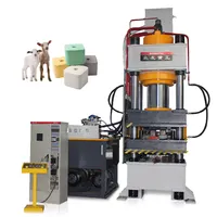 Presse hydraulique machine pour bloc minéral animal/500 tonnes machine de presse à blocs de sel