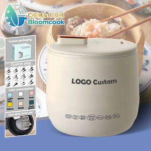 Poêle électrique multifonctionnelle Bloomcook OEM 2025, chauffage rapide, antiadhésive, mini, portable, cuisson au gaz solaire, marmite chaude - Product Image 1