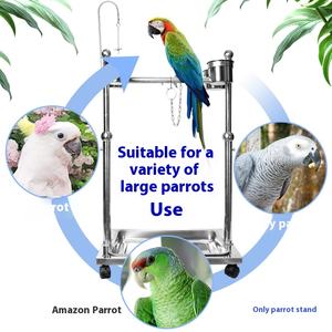 Petit support ornemental pour oiseaux Support pour perroquet en acier inoxydable avec chaîne de pied Fournitures pour oiseaux de compagnie - Product Image 4