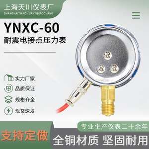 เซี่ยงไฮ้ เทียนชวน YNXC-60 เกจวัดแรงดันแบบสัมผัสไฟฟ้า 0-1.6MPa ไฮดรอลิกแบบต้านทานการสั่นสะเทือนด้วยแม่เหล็ก - Product Image 5