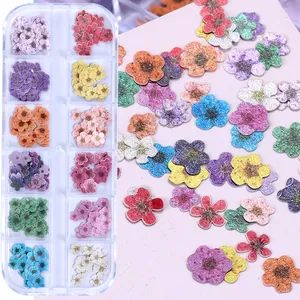 12 Rejillas de Adornos de Uñas con Flores 3D Coloridas, Ultrafinas, de Resina y Pulpa de Madera, Pequeñas Margaritas, Accesorios de Decoración para Manicura DIY - Product Image 4