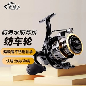 JUQIWANG Spinning Reel Stainless Steel Saltwater Fishing Reel Ocean Beach Use - Product Image 1