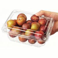 Transparante PET fruit clamshell verpakking met ventilatie, wegwerpbaar, van gerecycled RPET, geschikt voor pruimen, druiven en bessen, voedselveilig, groothandel.