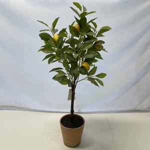 Personnalisé Faux En Plastique Bonsaï Artificielle <span class=keywords><strong>Citronnier</strong></span> Pièce Maîtresse Feuilles Vertes <span class=keywords><strong>pour</strong></span> Entrée Bureau Maison Thanksgiving Décor De Vacances - Product Image 2